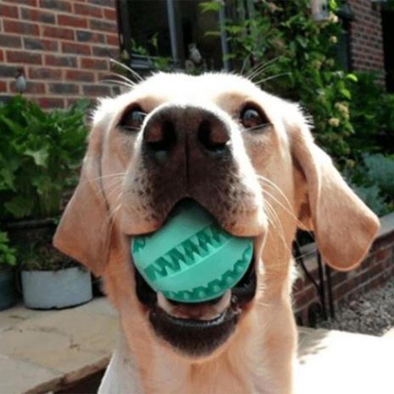 Dog Teeth Cleaning Ball