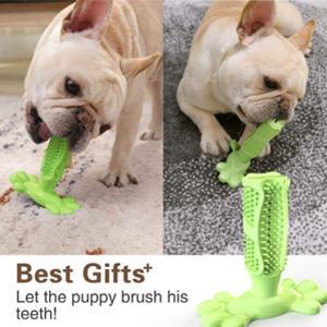 Dog Toothbrush