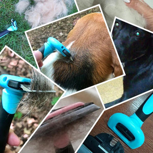 Pets Brush-Dog Hair