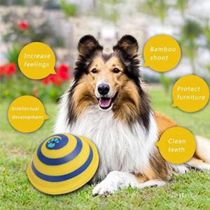 Indoor Gliding Squeaky Dog Toy-50% OFF