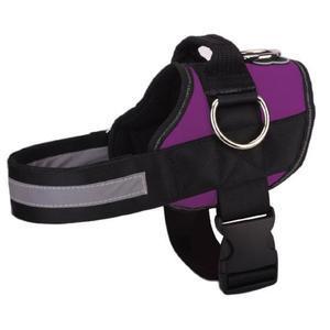 World's Best Dog Harness - 2019 Version