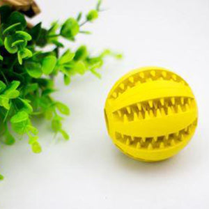 Dog Teeth Cleaning Ball